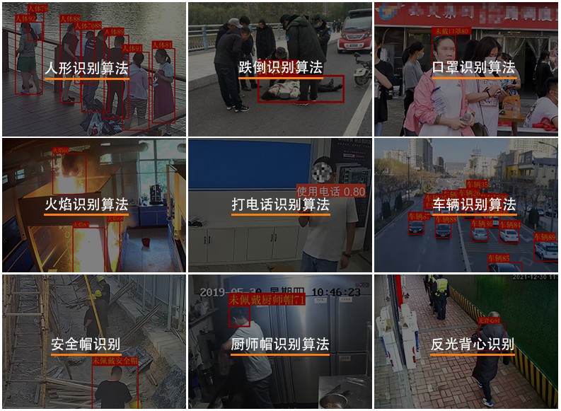 智能算法 智能算法